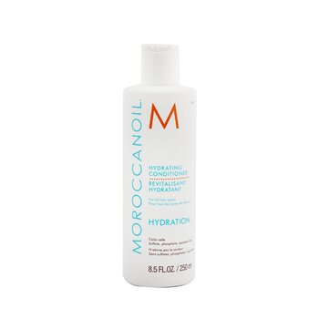 Moroccanoil Hydrating Conditioner (For All Hair Types)