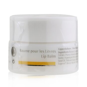 Lip Balm