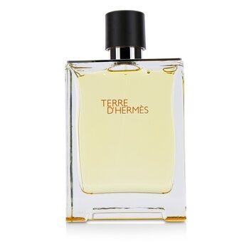 Terre D'Hermes Eau De Toilette Spray