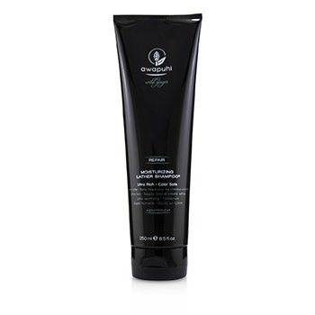 Paul Mitchell Awapuhi Wild Ginger Repair Moisturizing Lather Shampoo (Ultra Rich - Color Safe)