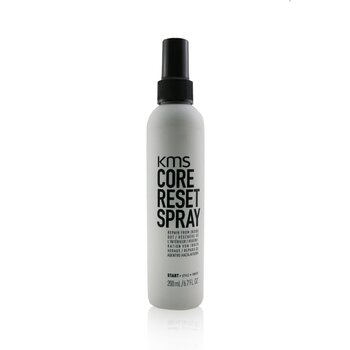 Core Reset Spray (Repair From Inside Out)