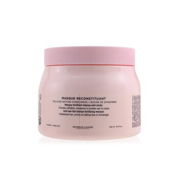 Genesis Masque Reconstituant Anti Hair-Fall Intense Fortifying Masque (Weakened Hair, Prone To Falling Due To Breakage)