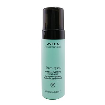 Foam Reset Rinseless Hydrating Hair Cleanser